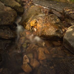 小溪,岩石,自然风光,峡谷,特写