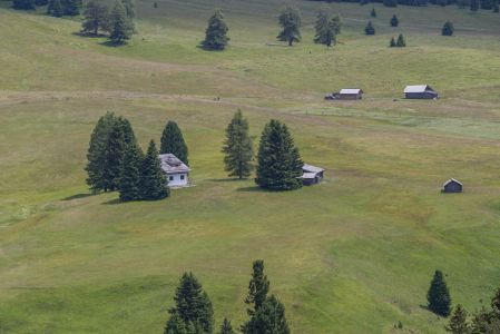 草原,山川,青草,自然风光,植物,建筑,树木