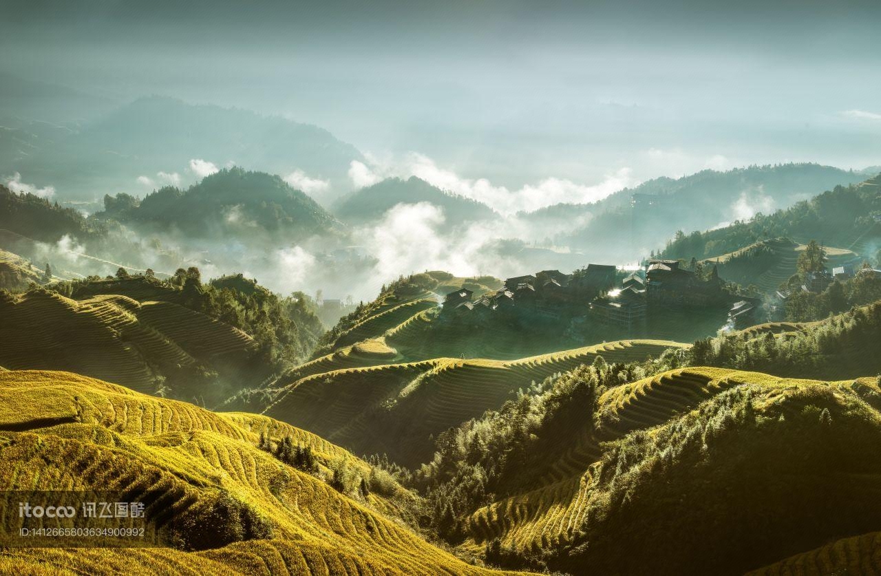 植物,山峦,自然风景