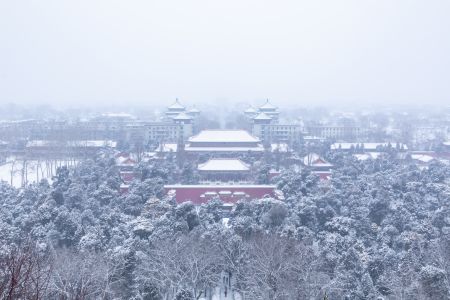 建筑,中国,北京,俯瞰,景山公园,历史古迹,自然风光,城镇,天空,冬天,植物,树木,雪,雾