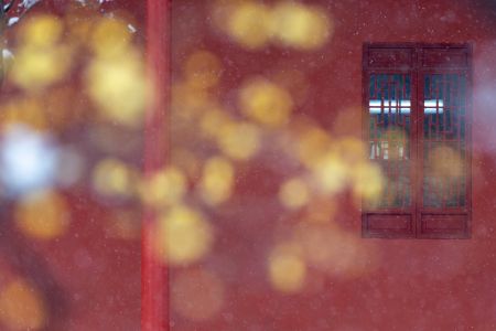 冬天,历史古迹,城镇,建筑,特写,雪,窗户