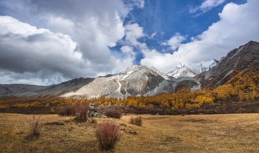 自然风光,秋天,草原,白云,山川,植物,树木