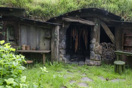 植物,草原,民居,城镇,自然风光,国外,青草,新西兰