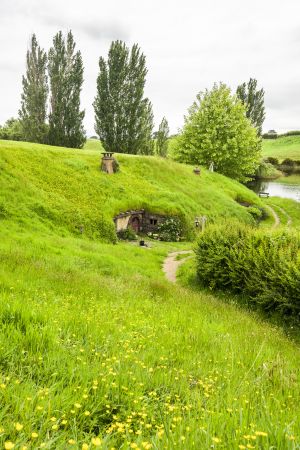 植物,草原,民居,城镇,自然风光,国外,青草,新西兰