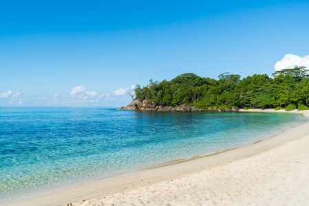 海洋,自然风光,海岛,沙滩,植物