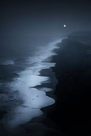海洋,海上生明月,自然风景,月夜,自然风光,夜晚,海水