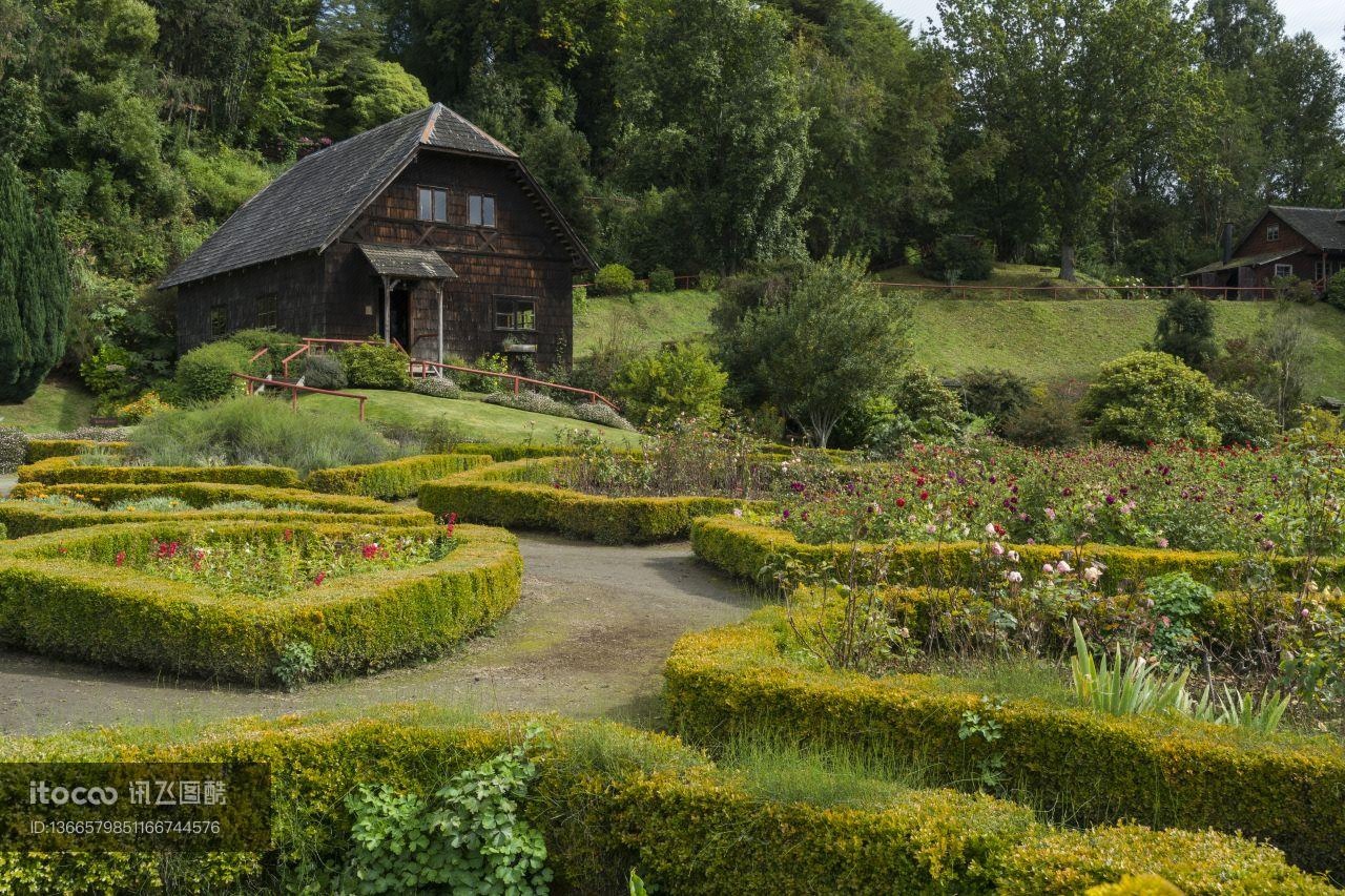 植物,自然公园,国外