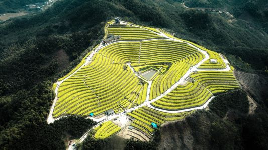 自然风光,植物,山川,航拍,树木,梯田,道路,林区道路,江河,建筑