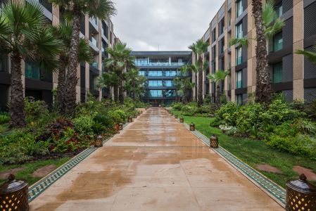 植物,国外,城镇,道路,建筑,树木,灌木,生物,摩洛哥