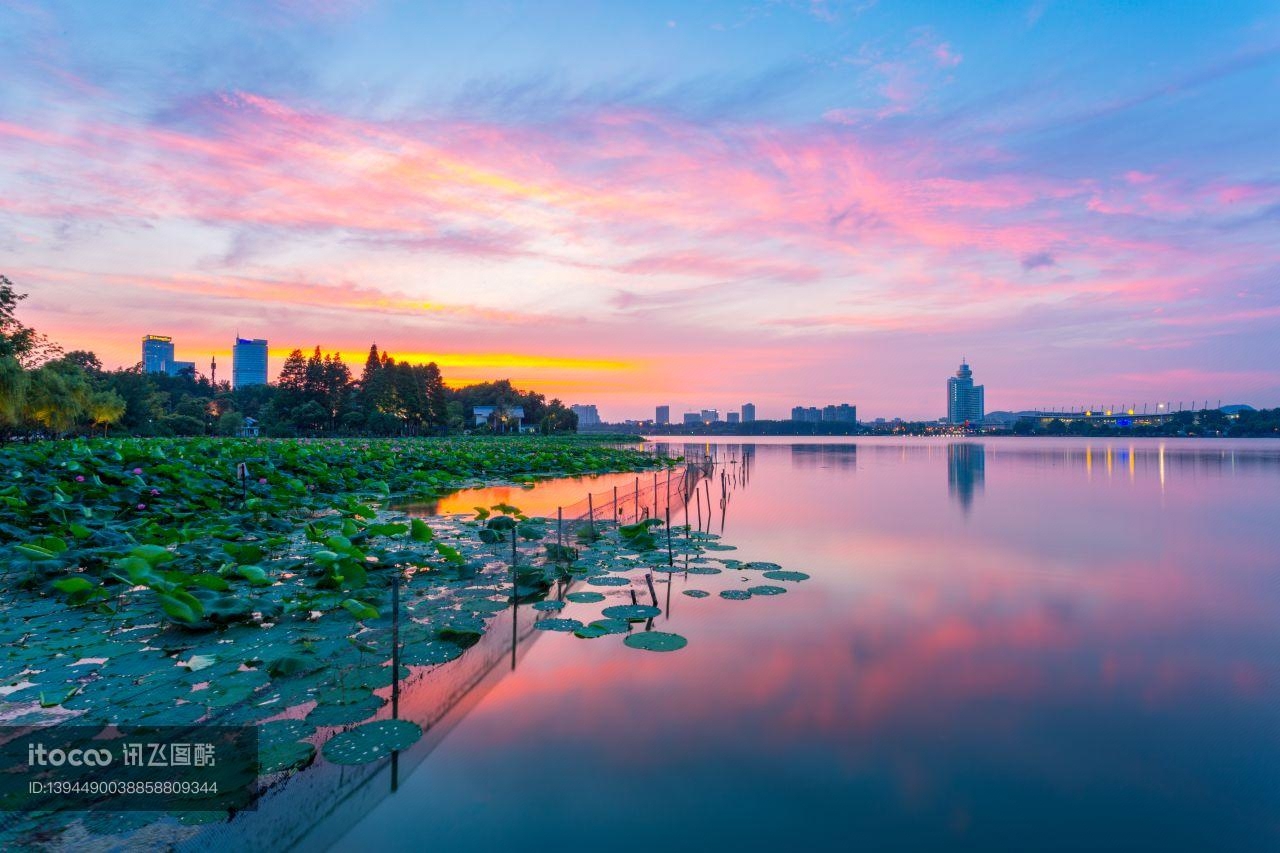 天空,荷花池,霞光