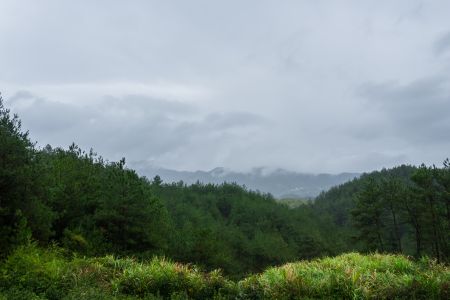 山峦,生态林,植物,自然风光,天空,白云,安徽,岳西