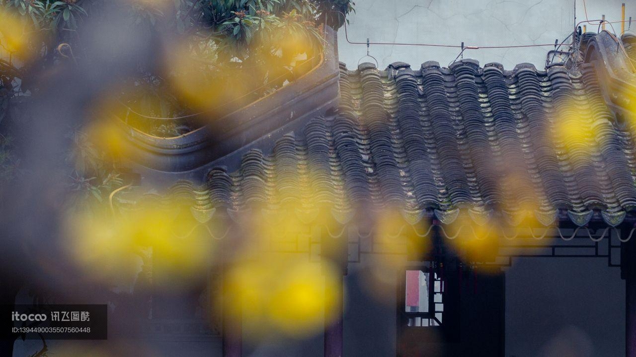 历史古迹,城镇,建筑