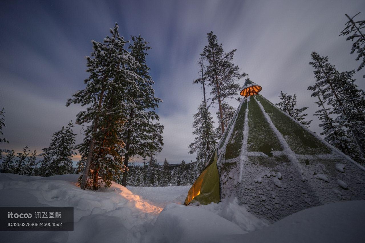 森林,雪,夜晚