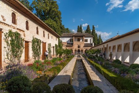 建筑,植物,现代建筑,城市街道,城镇,生物,全景,灌木,花