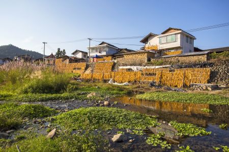 村镇,现代建筑,植物,城镇,建筑,乡村道路