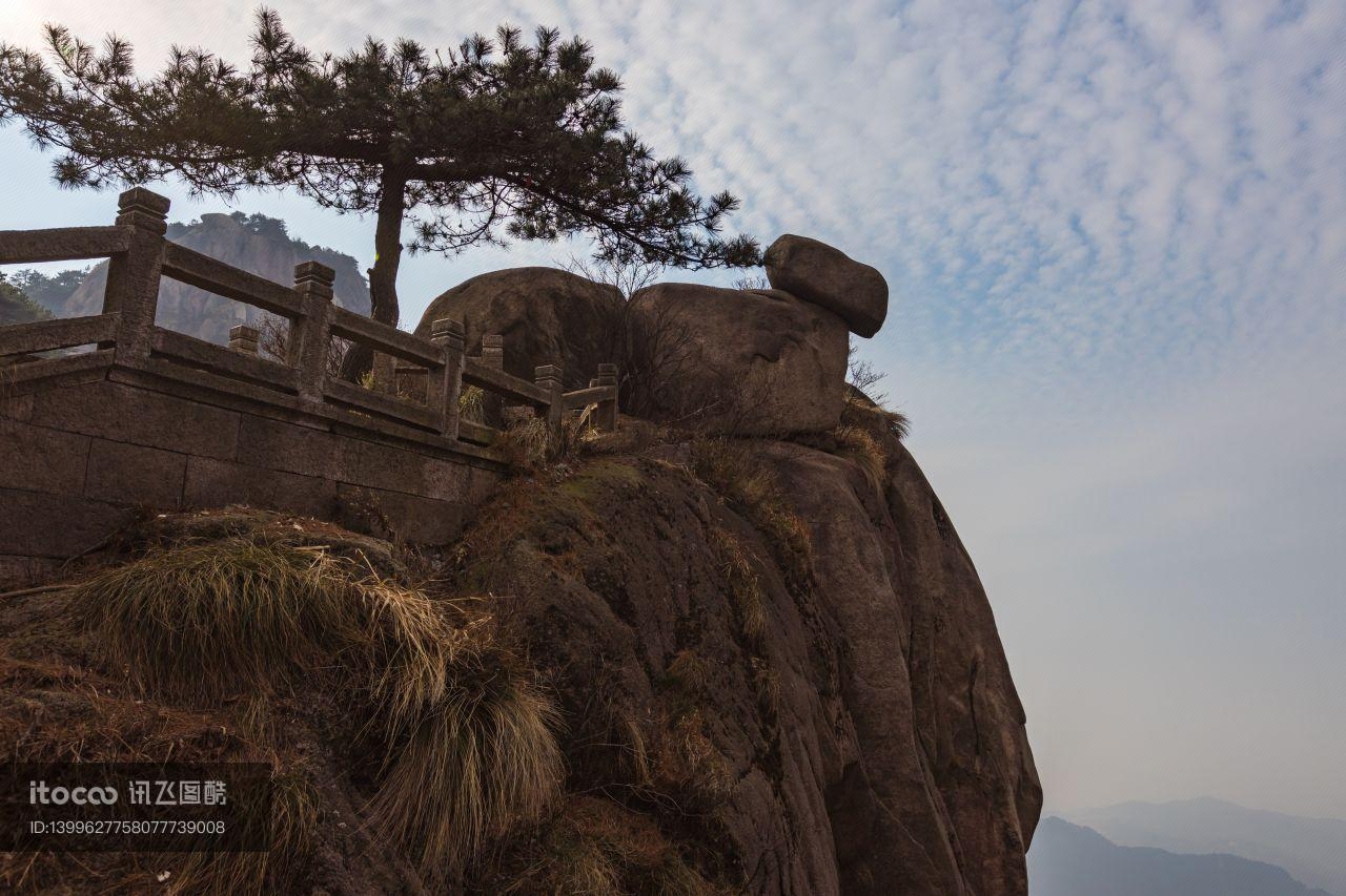 九华山,植物,中国