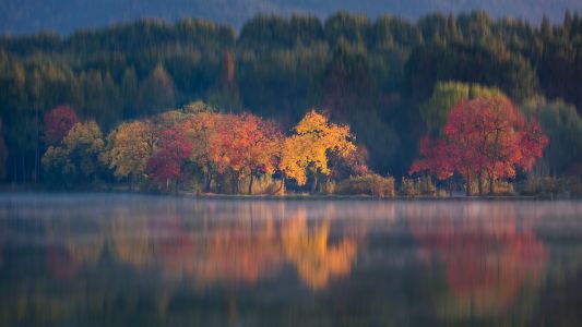 自然风光,秋天,枫树,水中倒影,森林,湖泊,植物,树木
