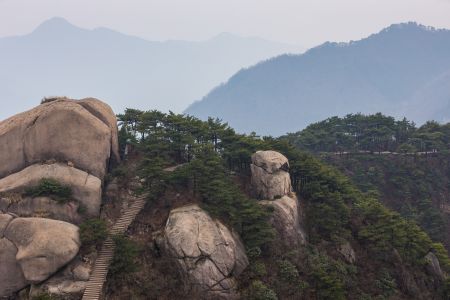 九华山,中国,安徽,自然风光,山川,树木,植物,天空,雾,道路