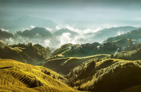 植物,山峦,自然风景,云雾,自然/人文景观,自然风光