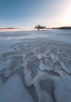 自然风光,沙漠,全景,天空,植物,树木