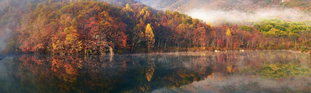 自然风光,秋天,全景,森林,江河,植物,树木,雾