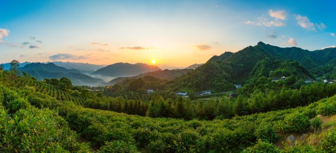 森林,成片种植,植物,自然风光,天空,全景,树木,建筑,太阳,白云,山川