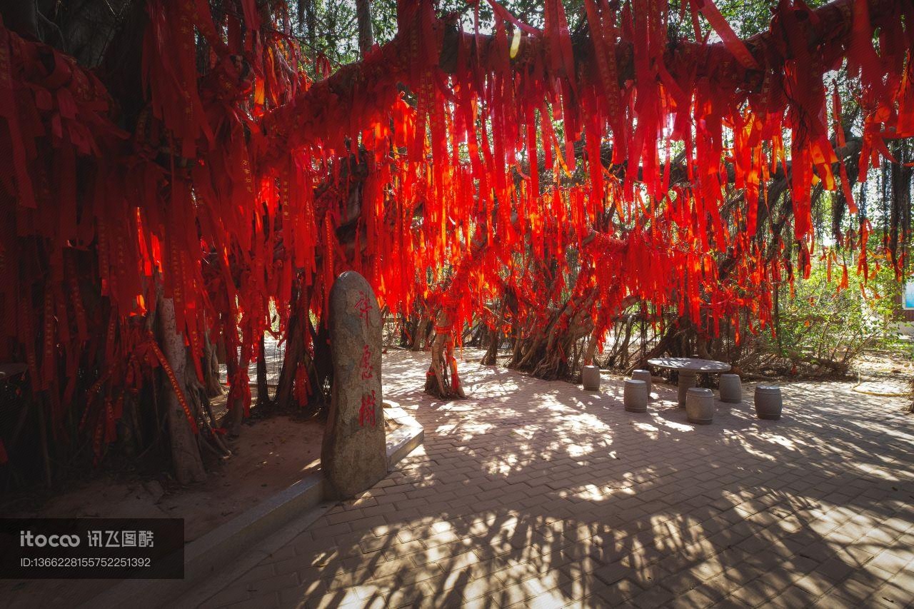 景点,祈愿树,红飘带