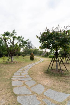 城镇,道路,乡村道路,自然风光,全景,植物,树木,树叶