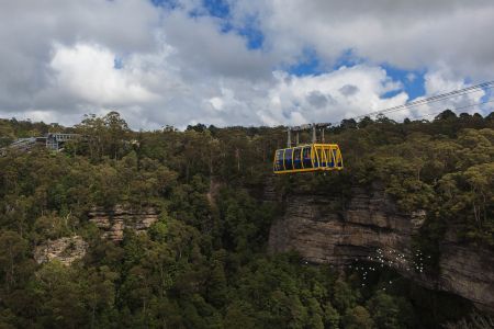 森林,树,自然风光,山川,峡谷,植物,国外,澳大利亚
