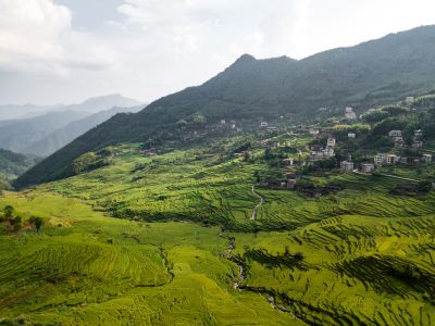 航拍,鸟瞰图,梯田,自然风光,平原,植物
