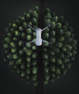 航拍,自然风光,森林,植物,树木