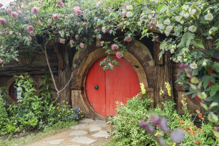 植物,草原,民居,城镇,自然风光,国外,青草,新西兰