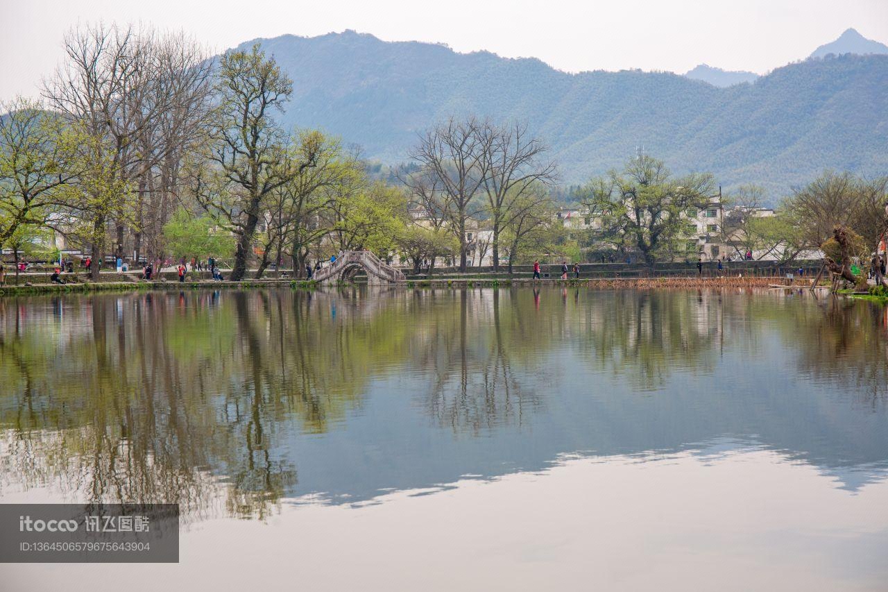 湖泊,自然公园,自然风光