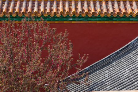 故宫,城墙,屋檐瓦片,建筑,中国,北京,历史古迹,植物,树叶,花
