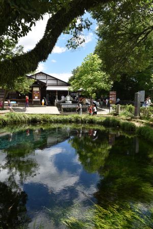 自然公园,传统建筑,植物,自然风光,树,建筑