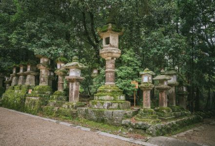 自然风光,建筑,春日社,文明遗迹,历史遗迹,国外,植物,树木,传统建筑,寺塔,自然公园