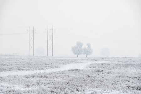 冬天,气候气象,自然风光,天空,雪,雾,电线塔,草原