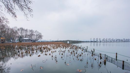 湖泊,动物,鸟类,自然风光,天空