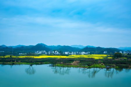 植物,江河,天空,自然风光,树木,白云