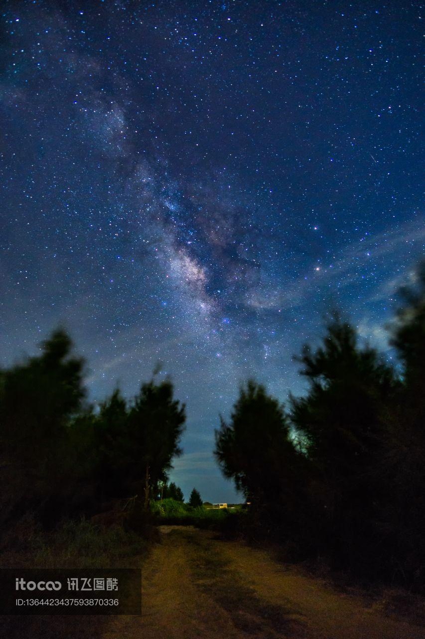 星空,森林,林间小路