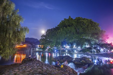 建筑,建筑夜景,都市夜景,树,大榕树,自然风光,天空,植物