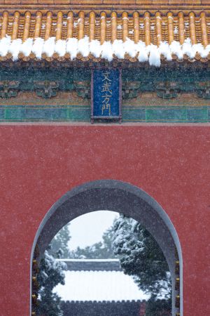 冬天,建筑,历史古迹,城门,传统建筑,城楼,城镇,雪,特写,植物,树木,天空