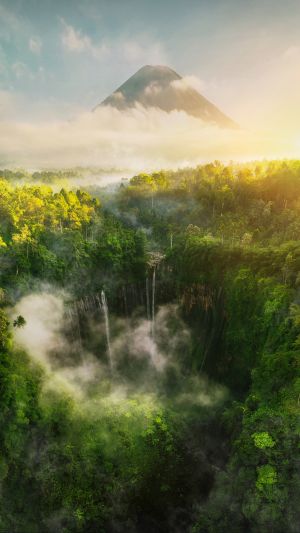 森林,自然风光,航拍,印尼森林,印尼,云海,国外,天空,山川,瀑布,景点,中午