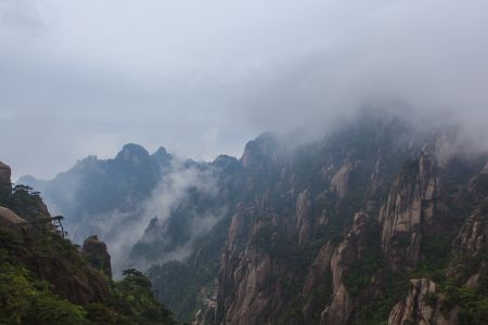 山川,云雾,中国,三清山,江西,树木,天空,植物,峡谷