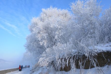 雾凇,雾凇岛,天空,吉林,自然风光,冰雪,中国