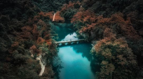 湖泊,自然风光,江河,森林,桥,全身像,环境人像