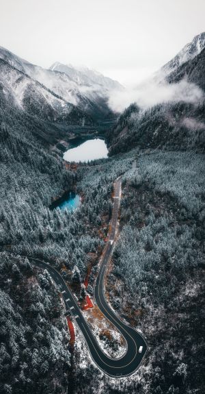 自然风光,山川,树木,道路,森林,植物,公路,雾,航拍,湖泊,交通工具,汽车