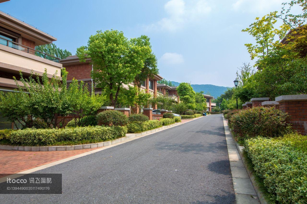 城镇,建筑,道路
