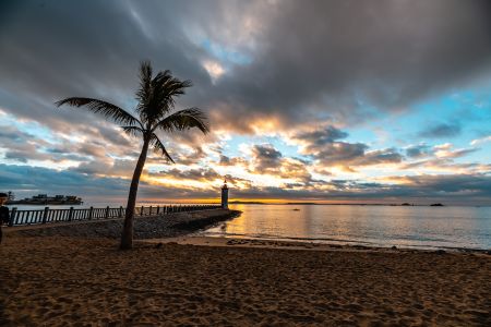 天空,海洋,自然风光,乌云,全景,植物,树木,灯塔