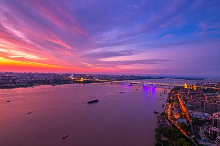天空,城镇,江河,都市,夜晚,建筑,桥,植物,树木